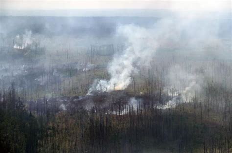 图一二为亚马逊火灾卫星图像|亚马逊|火灾|森林火灾_新浪新闻