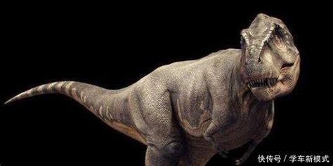 恐龙是怎样灭绝的真正原因 ？真相令人震惊！ | 说明书网