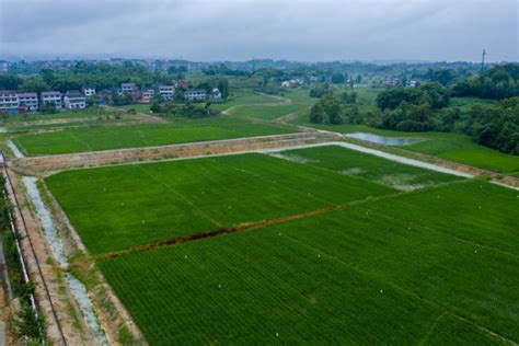 大竹县农业农村局“六强化”抓好鱼米之乡项目建设