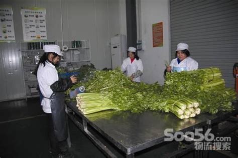 江西省冷冻冷藏食品行业协会成立_物流搜索网
