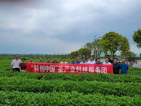 咸宁特色产业引领特色发展 卖茶叶卖竹器也卖民俗风光--湖北文明网