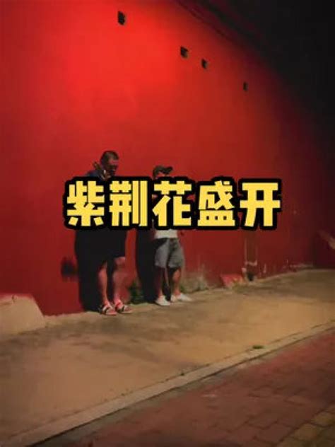 香港回归紫荆花军人红色简约大气海报海报模板下载-千库网