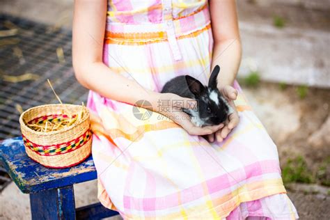 女孩把兔子放在篮里高清图片下载-正版图片303491388-摄图网