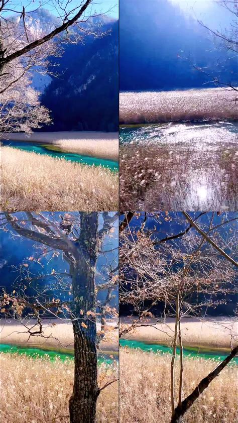 新疆的大河之一开都河|摄影|风光摄影|新疆摄影家沈久泉 - 原创作品 - 站酷 (ZCOOL)