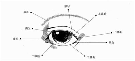 清美“眯眯眼”事件，逻辑思维，歧视性文化符号以及文化自信 - 知乎