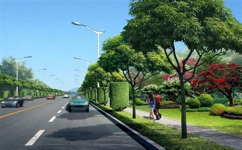 城市道路绿化与植物选择要求-绿宝园林网