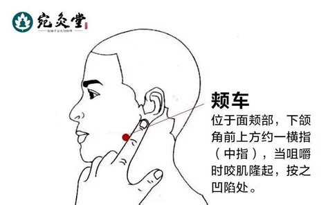 颊车的准确位置图图片