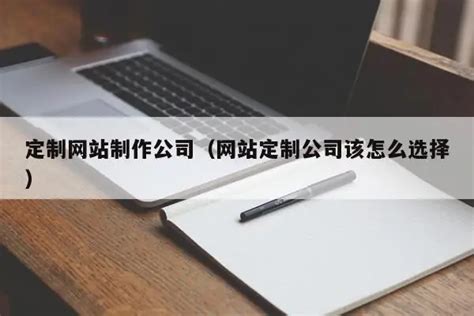 定制网站制作公司（网站定制公司该怎么选择） - 恩派SEO