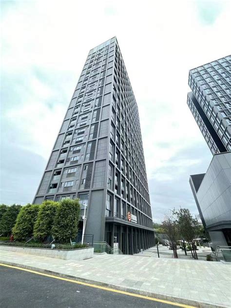 深圳最大公共住房项目将于明年建成 共提供9672套房_广东频道_凤凰网