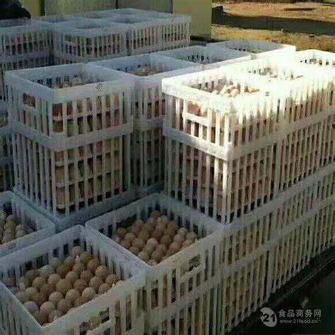 塑料36枚种蛋筐孵化场种蛋运输筐种鸡场用种蛋筐 山东潍坊-食品商务网