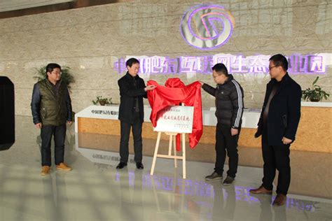 肥东县首个电子商务“双创”基地——“青年就业创业见习基地”揭牌成立_合肥先锋网