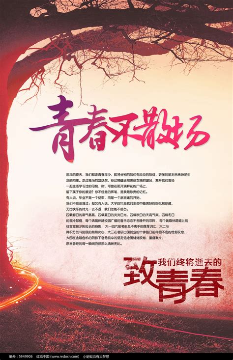 “青春终将散场唯独记忆永不腐朽”图片
