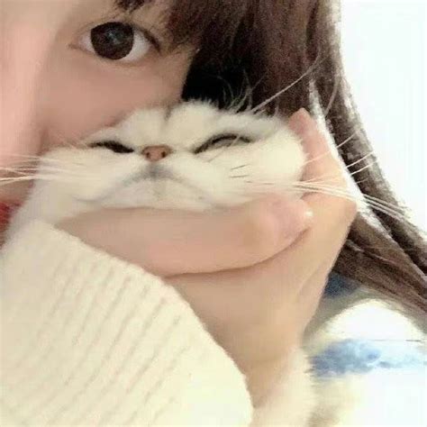 甜美女生头像抱宠物动漫