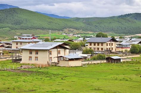 迪庆州香格里拉市：构筑绿色生态屏障_云南省农业农村厅