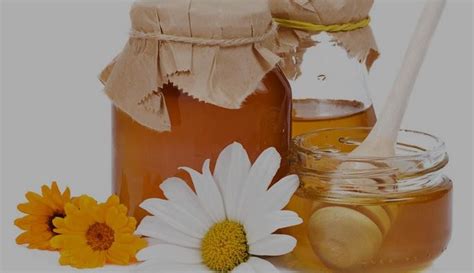 芬美意宣布蜂蜜为2015年的流行风味【翻译】 | Foodaily每日食品