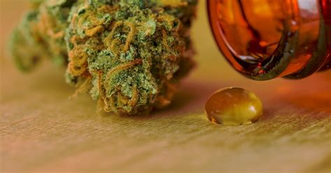 CBD: The Basics on How CBD Works in The Body [Infographic]