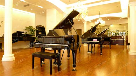 郑州钢琴专卖店——星艺琴行，不仅仅是一家琴行！_郑州星艺新琴行有限公司