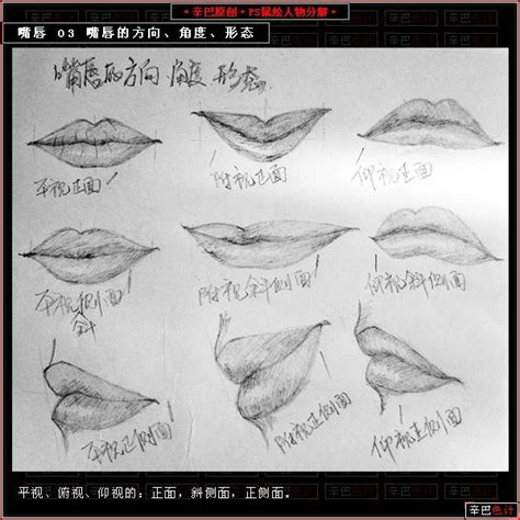 二十种嘴型图解图片