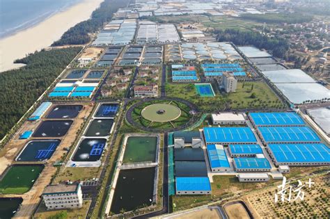 泰国室内循环水养殖项目的设计图与实景图_广州环控农业生物科技有限公司