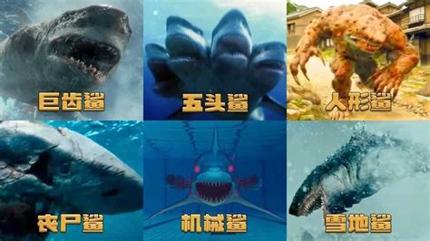 关于鲨鱼的电影，关于鲨鱼的电影有哪些
