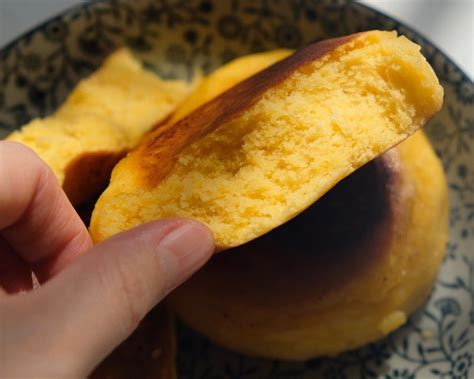 玉米饼子的做法_【图解】玉米饼子怎么做如何做好吃_玉米饼子家常做法大全_绿萝花世界_豆果美食