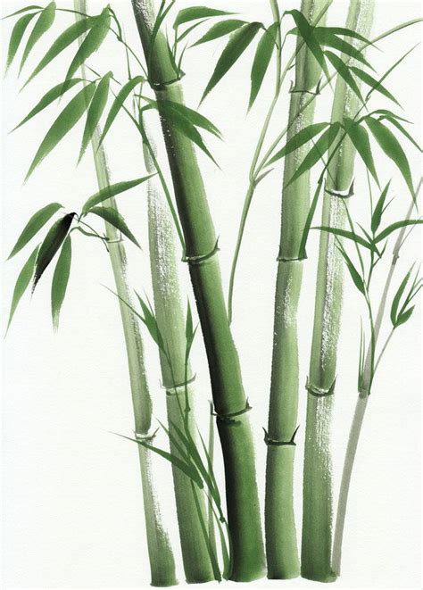 关于竹子的句子及图片_句子豆