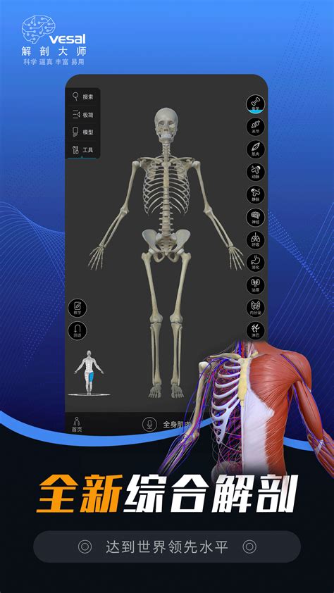 3dbody下载-3DBody三维交互解剖软件下载v6.0 免费版_三维人体解剖软件-绿色资源网