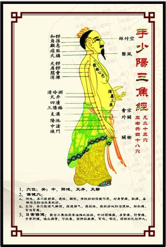 三焦经经络图图片