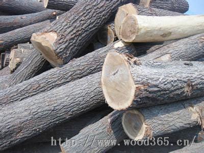 榆木实木烘干板材河南老榆木家具木料木材厂供应本地烘干榆木木料-阿里巴巴