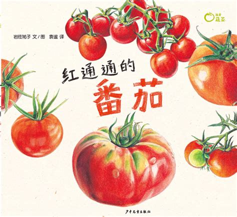 绘本故事《红通通的番茄-我爱蔬菜》- 适合 5-7岁,3-4岁 – 布克船长