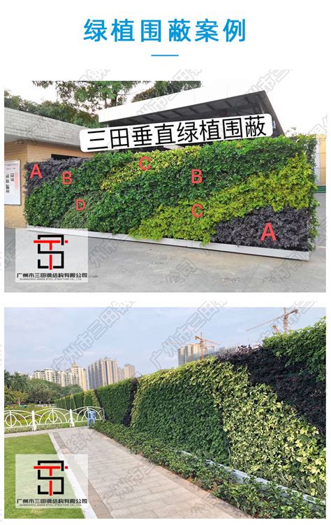 【筑苑】园林股份助力建设美丽乡村-新闻资讯-杭州市园林绿化股份有限公司