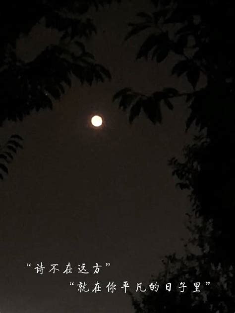 今年中秋“十五的月亮十五圆”：如何赏？怎样拍？ 河南日报网-河南日报官方网站