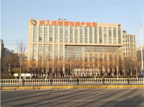 开年实现2000万元出口，大龙网新疆首家数字贸易产业园正式开园_中国发展网