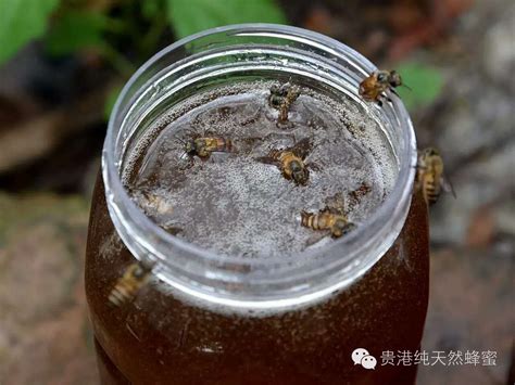 蜂蜜用什么水冲比较好 经常喝蜂蜜水有哪些好处-小狼观天下