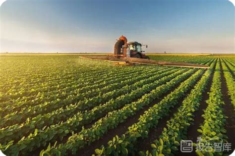 今年农业展望报告，农业未来发展趋势