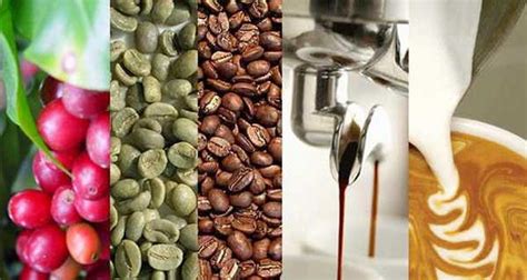 咖啡豆与咖啡粉，究竟该怎样选择？－咖啡奥秘
