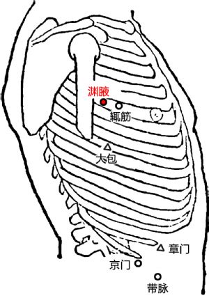 渊腋_渊腋穴的位置、功效与作用、主治、刺灸法_医学百科