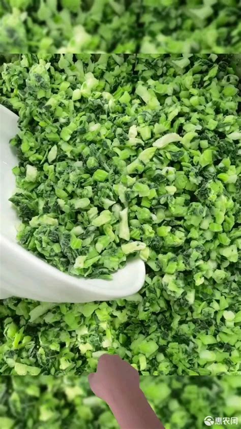 厂家大量批发上海青种子四季小青菜油菜种籽盆栽易种蔬菜种子5克-阿里巴巴