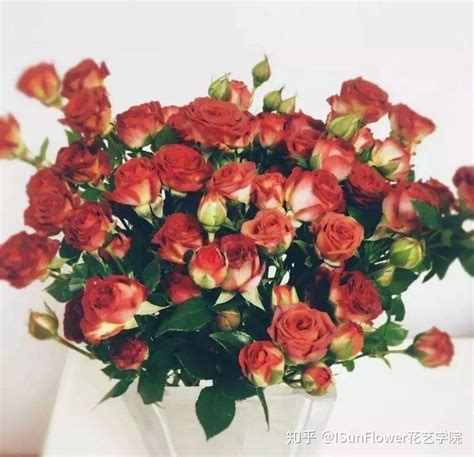 玫瑰花颜色的花语-不同颜色的玫瑰花代表什么含义？-六朵花