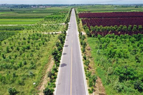 河南前7个月新改建农村公路6051公里 推动县域经济发展-大河网