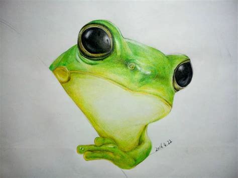 幼儿绘画课程教案「可爱的小青蛙」-安妮菲哥