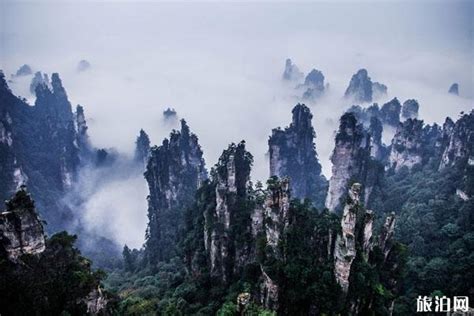 中国第一个国家森林公园(图)|张家界|张家界国家森林公园|鹞子_新浪新闻