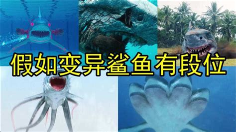 谁能拒绝一只蠢萌的鲨鱼王，可爱鲨人啦_腾讯视频