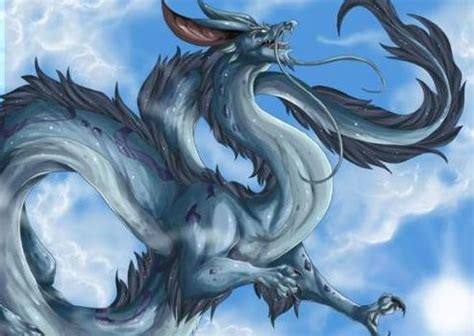蛟龙图片