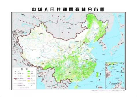 全国各地区森林覆盖率出炉：最绿的地方福建森林面积7.92万平方公里，覆盖率第一_中国数据_聚汇数据
