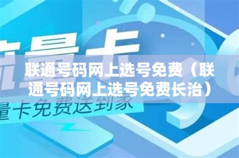 黑龙江省网上选车牌号怎么选-百度经验