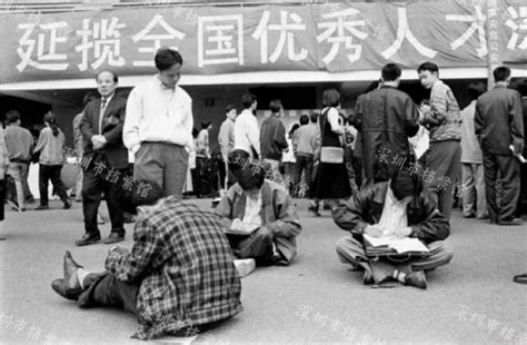 人才市场招聘海报,招聘海报,招聘_大山谷图库