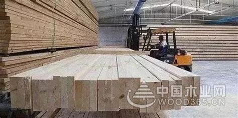 2022上半年全球木材市场回顾_行业资讯_木头云