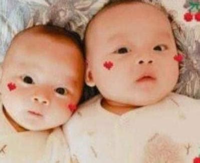 谢娜近日诞下双胞胎女儿：双胞胎，幸福加倍，风险也加倍！ - 知乎
