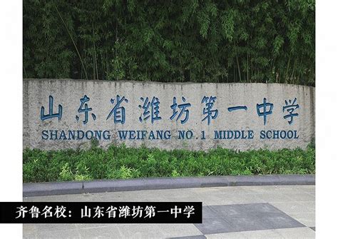 速来围观！“潍坊市教育局”入驻山东教育发布APP啦！_澎湃号·政务_澎湃新闻-The Paper